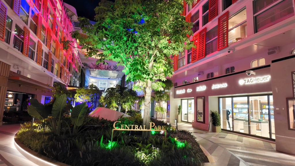Central Park at night on Star of the Seas