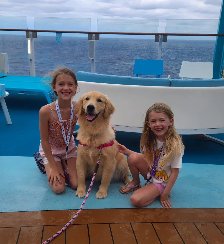 Rover on Icon of the Seas